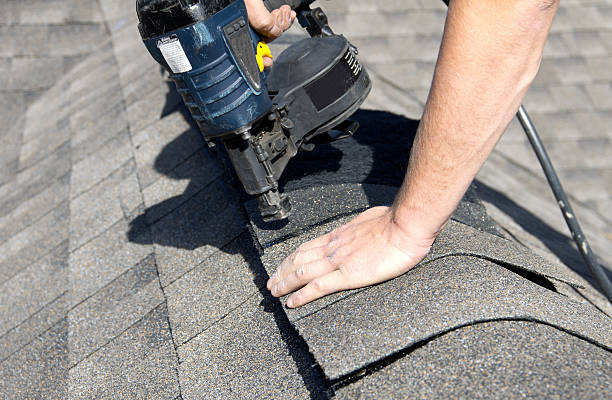Best Skylight Installation and Repair  in Bayonet Point, FL