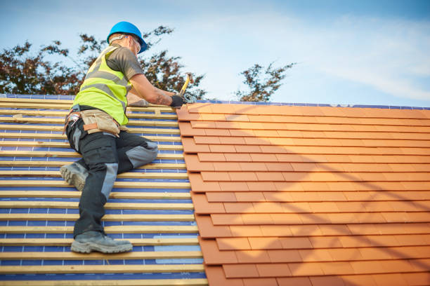 Best Roof Ventilation Installation  in Bayonet Point, FL